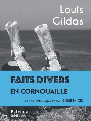 cover image of Faits divers en Cornouaille